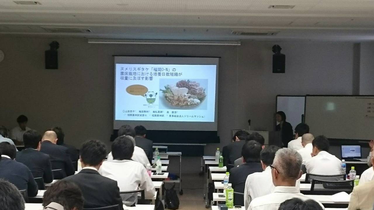 博多すぎ茸 論文発表