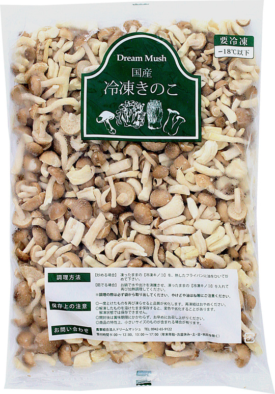 緑に光るキノコ「シイノトモシビタケ」が見頃 和歌山、森の闇で