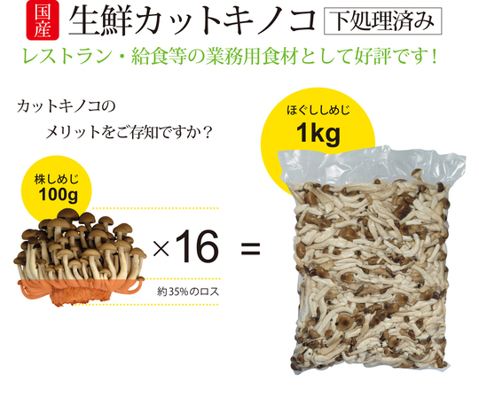 キノコさん専用 新鮮生きのこセット 6種類 各2パック（12パック） 長野県須坂市産 希少