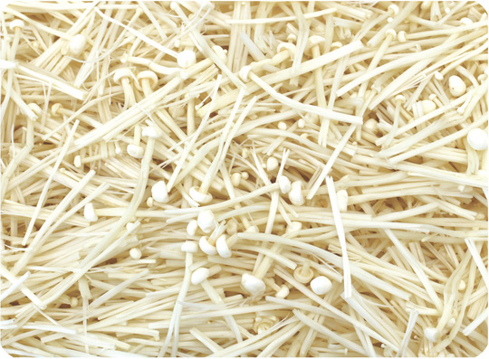 生鮮カットキノコKSTシリーズエノキ - ドリームマッシュ業務