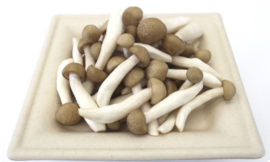 生鮮カットキノコKSTシリーズ - ドリームマッシュ業務用