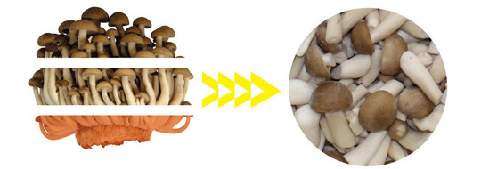 しめじハーフカット - ドリームマッシュ業務用きのこ事業部