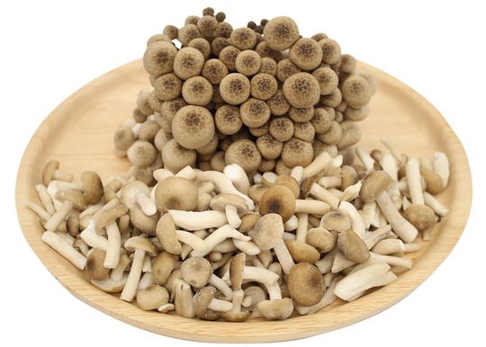 しめじページ しめじハーフカット - ドリームマッシュ業務用きのこ事業部