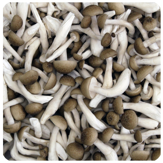 業務用 生鮮カットキノコ - ドリームマッシュ業務用きのこ事業部